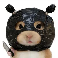 cướp 1