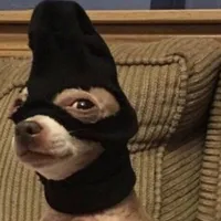 cướp 
