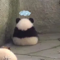 tác giả xinh gái><