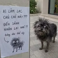All-ai thì-