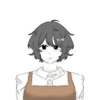Y/N