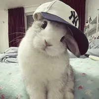 nhóm nàng