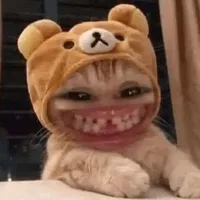 ᴛ/ɢ(ᴋᴀɪ)