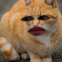 hệ thống