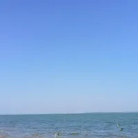 T/g
