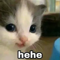 tác giả nói nhảm