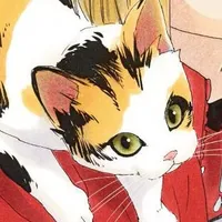 «Neko»
