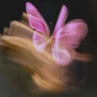 217.