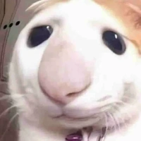 T/g