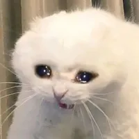 t/g