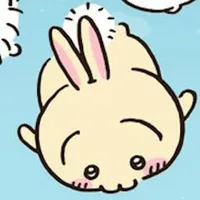 Usagi