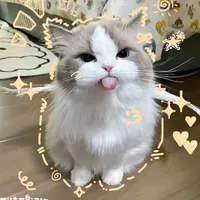 tác giả _ cute
