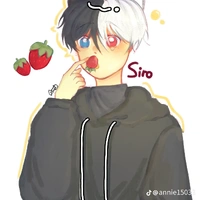 Siro