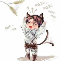 Levi