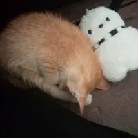 ？？？