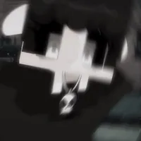 Hiha Babachops
