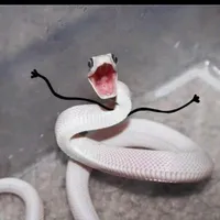 Tác giả