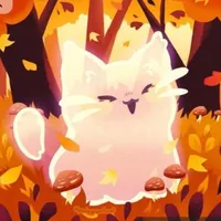 Kits