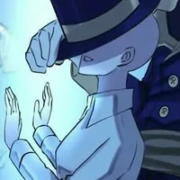 MC (y/n)
