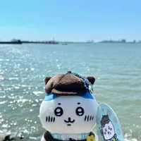 t/g cuteo(Bii)