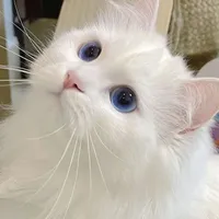 _? _