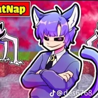 catnap