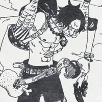 ace ham ăn