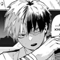 Todoroki Shoto-Shoto