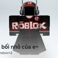 hệ thống của noob