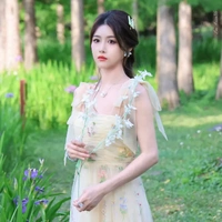 Chu Di Hân