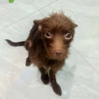 Nhắm cuto bằng không mà liếc
