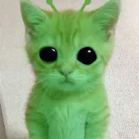 cuti gâu gâu 