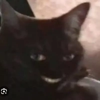 thím