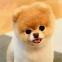 sáng 🌟