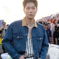 trần đăng dương - dương domic
