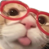 t/g