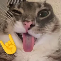 Ray (tác giả)
