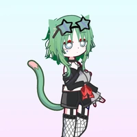 mèo2