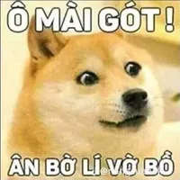 tg trầm 