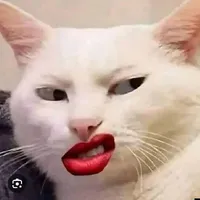 T/g bị ngáo T.A