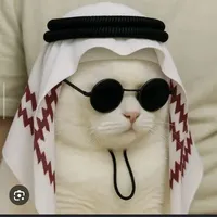 ALL