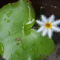 con tác giả xóa truyện đó[cốt]