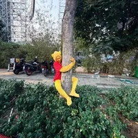Tác giả