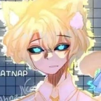hiha anti catnap