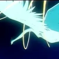 the fly