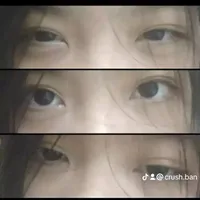 ᥫᩣ𝐋𝐞𝐩𝐞𝐫𝐭𝐢𝐧𝐚