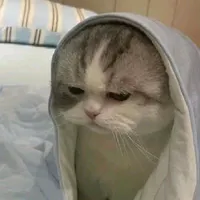 hệ thống 