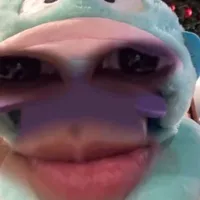 Cả lớp 