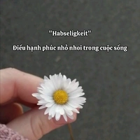 tác giả thích drop :)