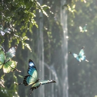 nhân vật phụ